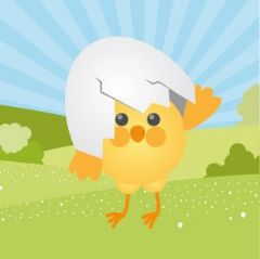 מדבקות שם עגולות מעוצבות - אפרוח חמוד