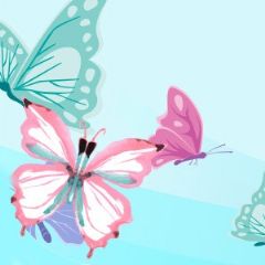 מדבקות שם רחבות מעוצבות - פרפרים