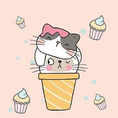 מדבקות שם רחבות מעוצבות - חתלתול חגיגה