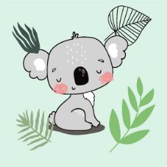 מדבקות שם רחבות מעוצבות - קואלה קול