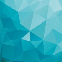 מדבקות שם רחבות מעוצבות - פוליגונאל